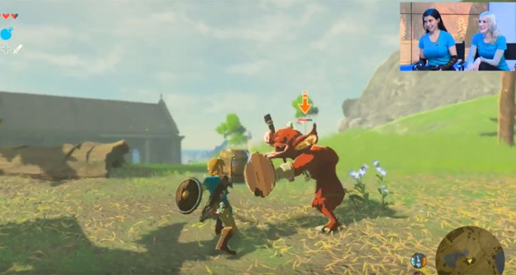 Zelda