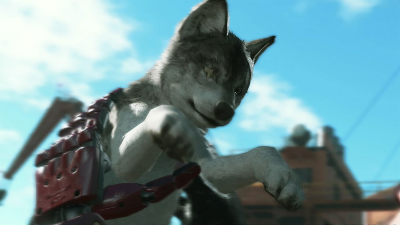 ddog